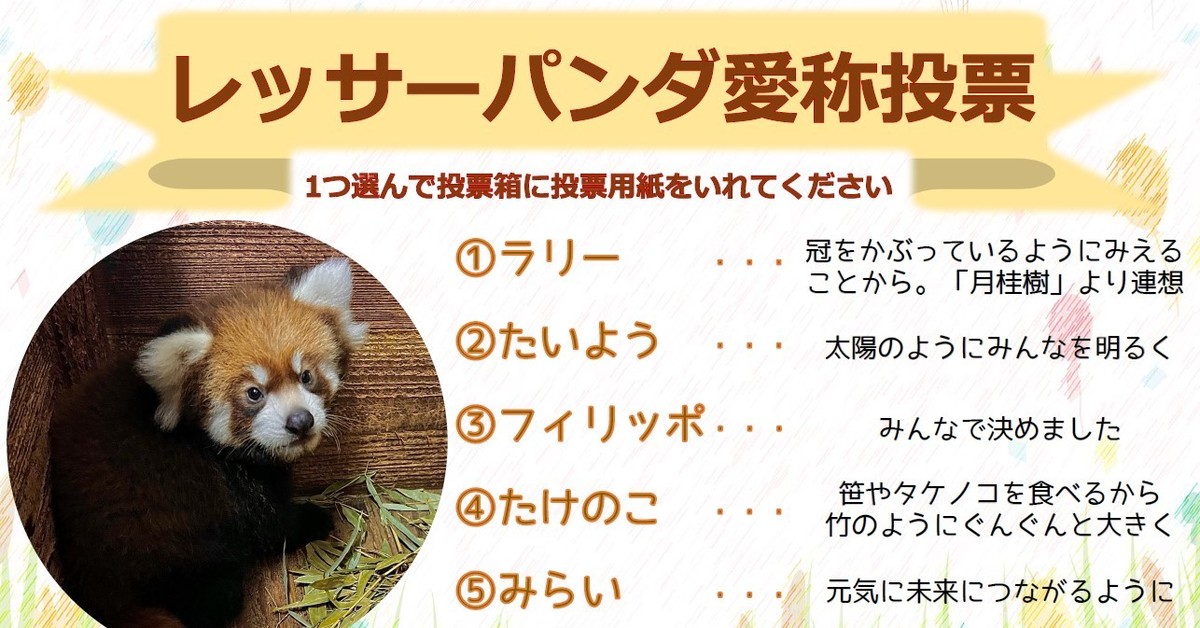 レッサーパンダ様 リクエスト 2点 まとめ商品 れっさーぱんだ様 リクエスト 2点 まとめ商品 もた様 リクエスト 2